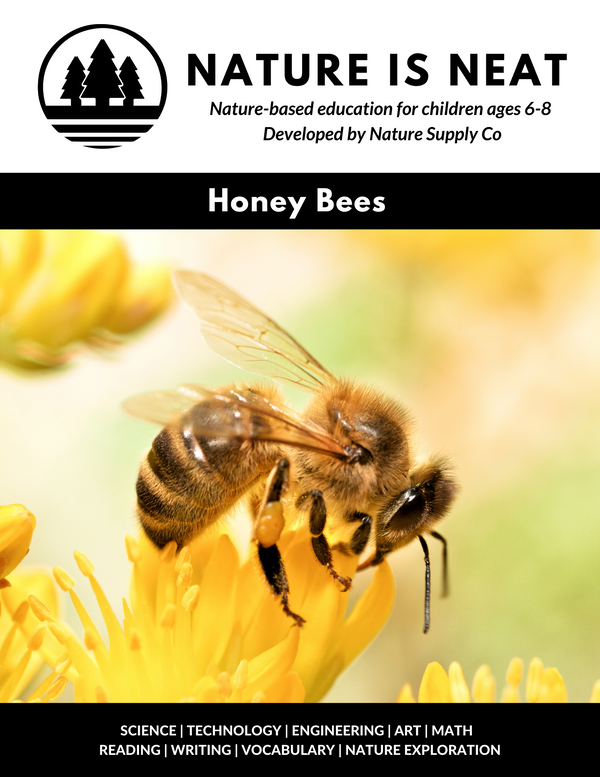 DNR: DNR Kids Learning & Activities: Honeybees