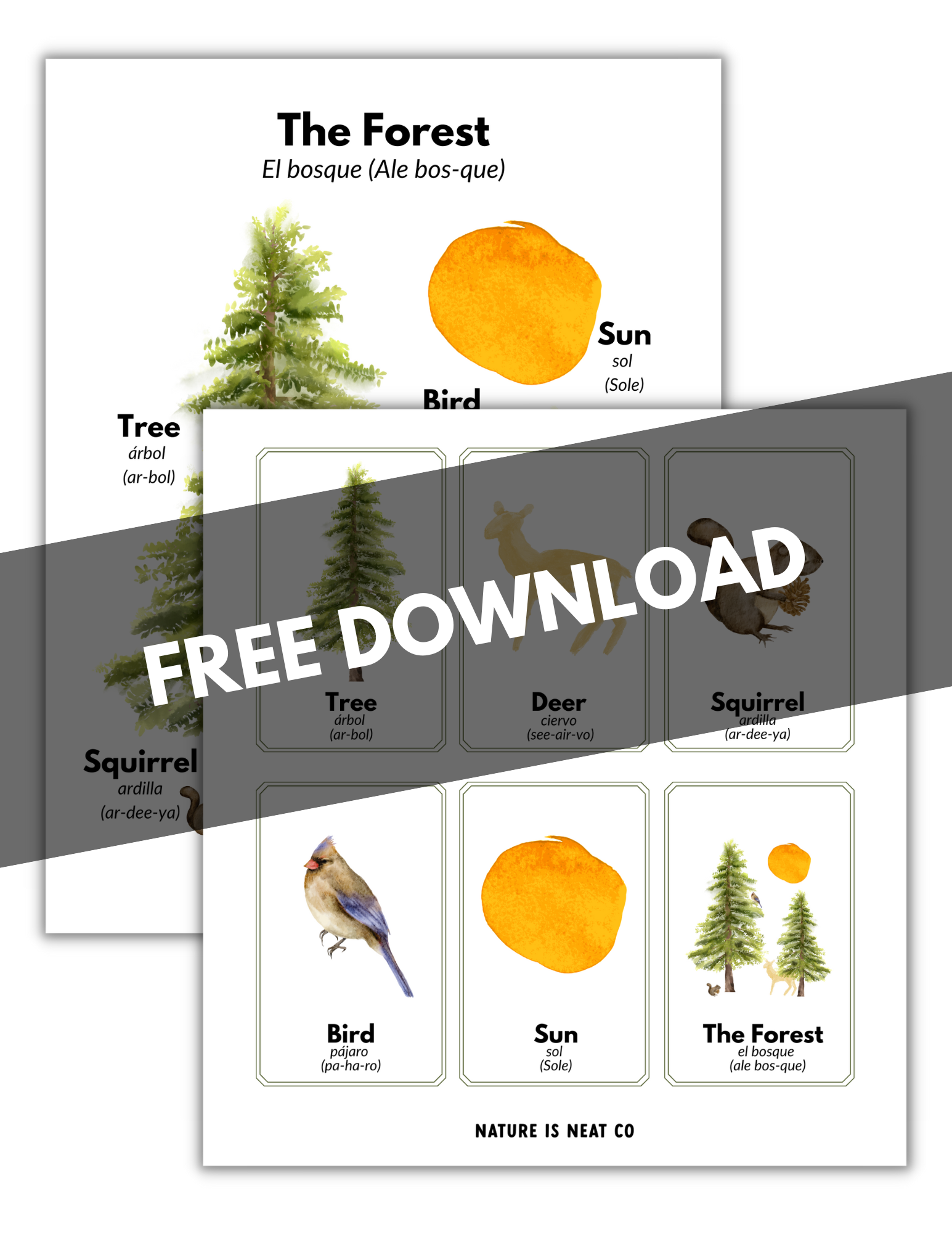 Food Forest Printable Cards, Italian Language Version (PDF)