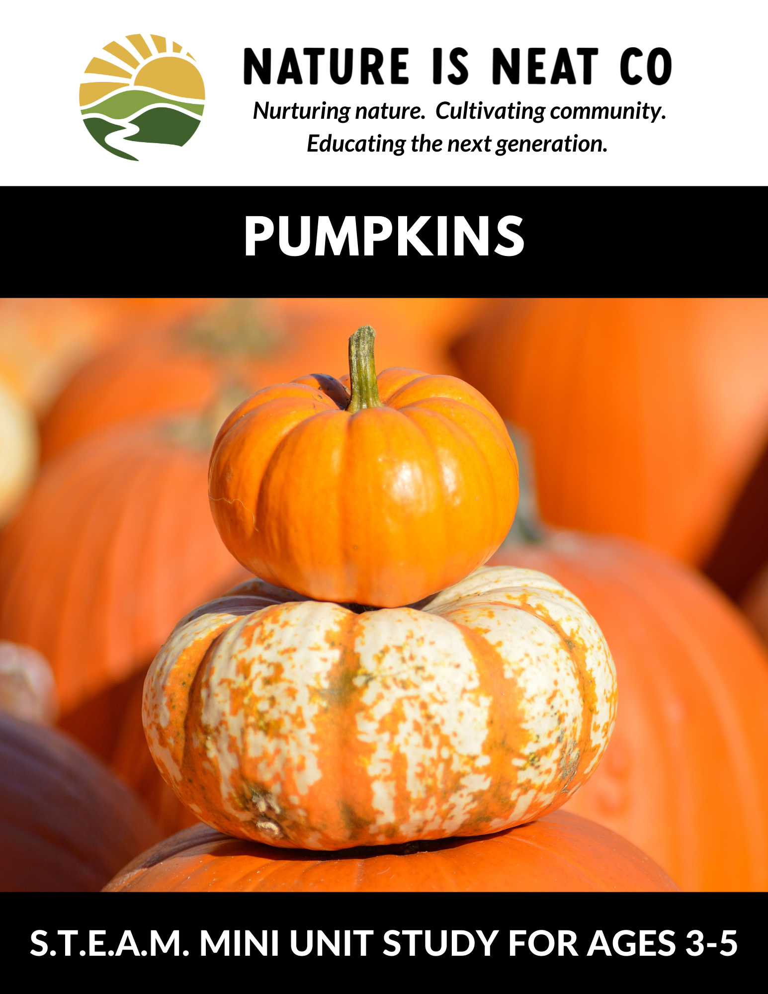 https://www.naturesupplyco.com/cdn/shop/products/Pumpkins3-5Cover_1545x.png?v=1663354956