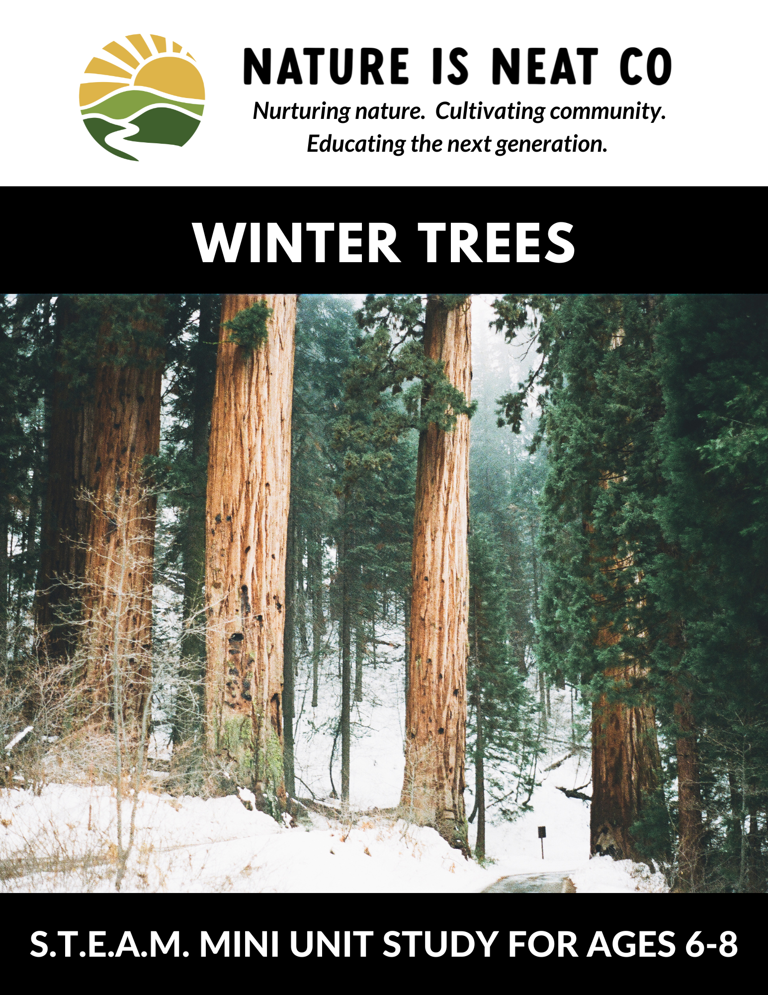 https://www.naturesupplyco.com/cdn/shop/products/WinterTreesAges6-8-NatureisNeatCo-Updated_1545x.png?v=1673384474